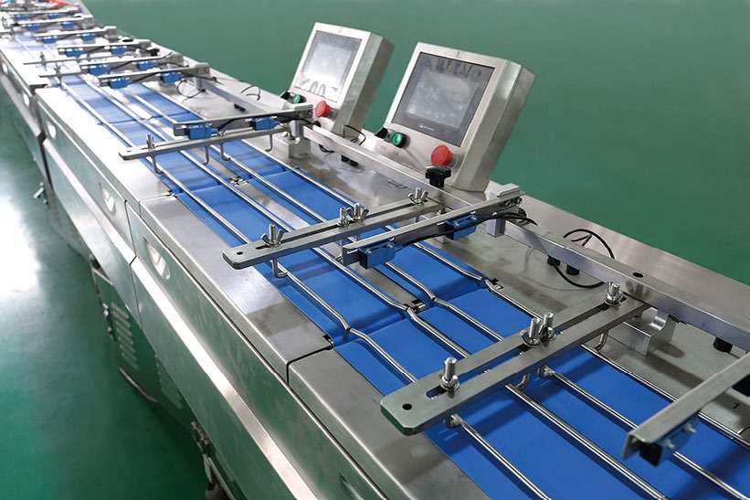 2-channel automatic packaging line