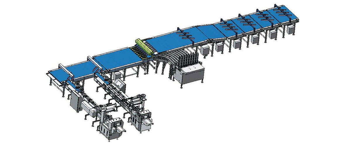 Multi-channel Tray Loading Packaging Line for Biscuit(Cover)
