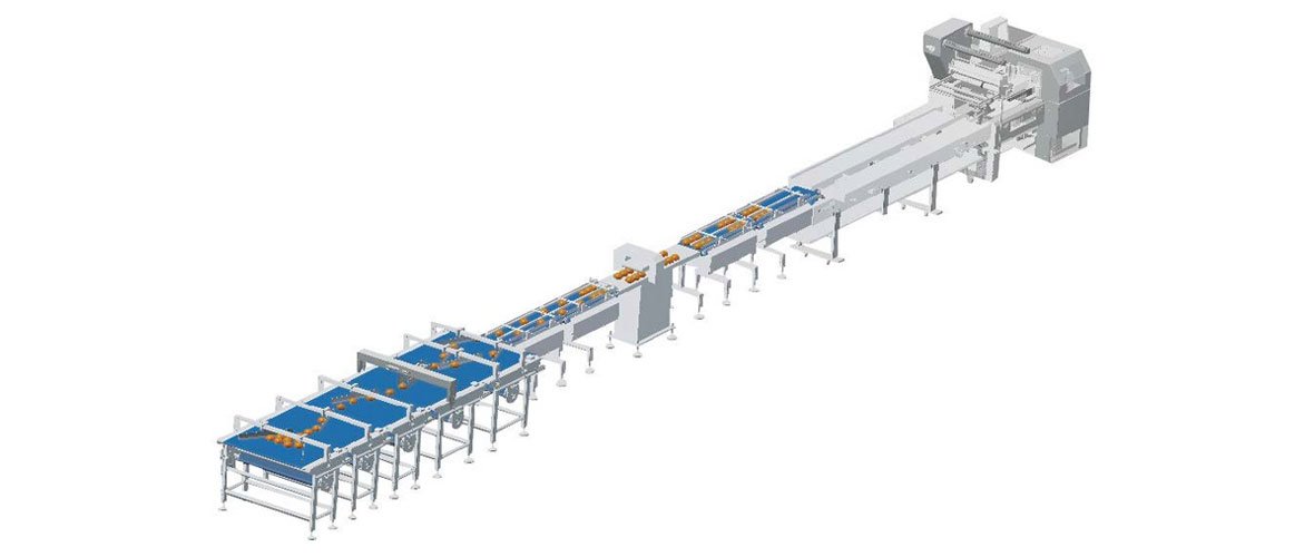 automatic group packaging system sample automatic group packaging system sample
