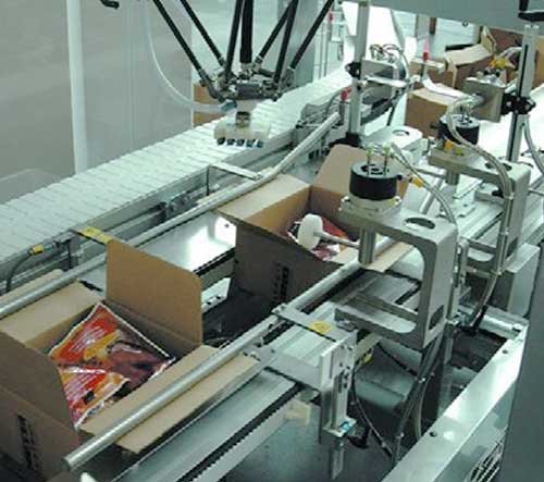 Automatic Robot System for Carton