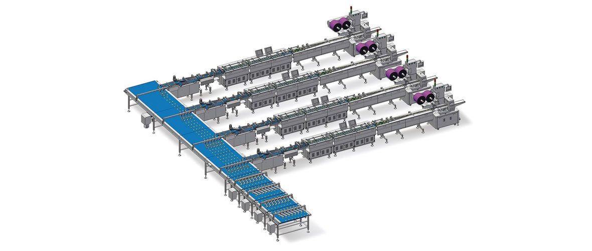 Double Channel Automatic Packaging Line for Biscuit