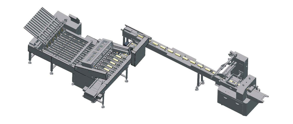 Cookie Biscuit Counting and Packaging Line