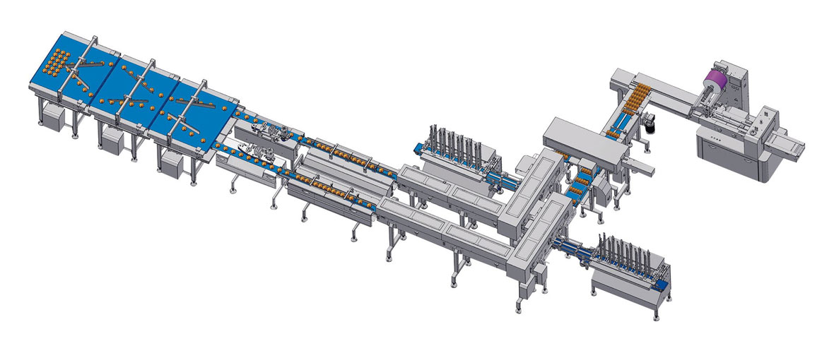 Automatic Group Bread Packaging Machine with Auto Tray Loading Unit