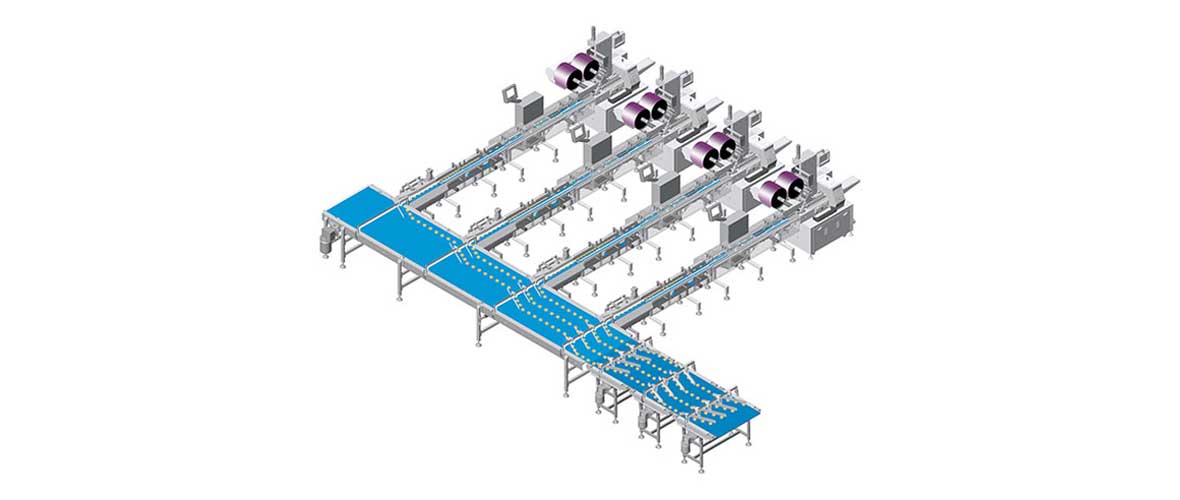 Automatic Biscuit Packaging Machine