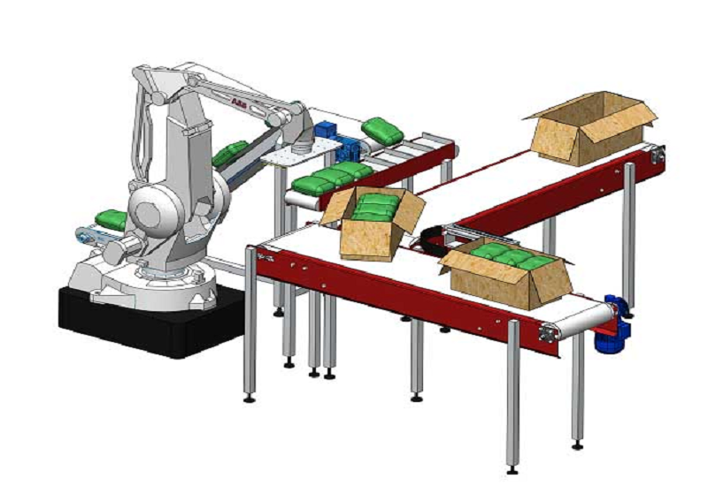 Carton Machine & Robotic Palletizer