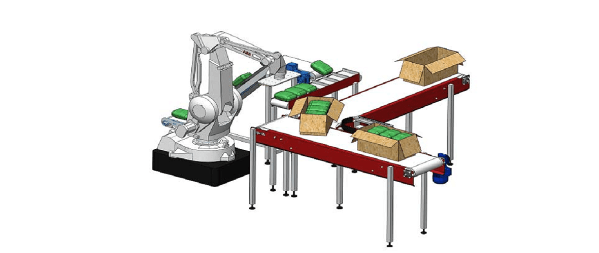 Carton Machine & Robotic Palletizer