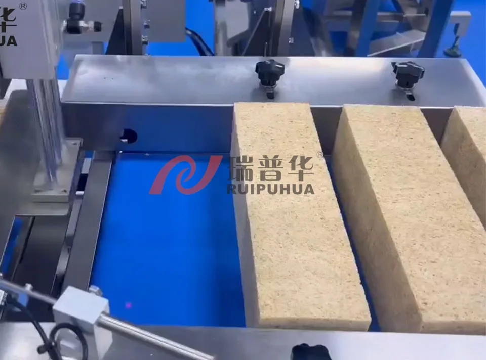 Automatic Toast Processing and Packaging System