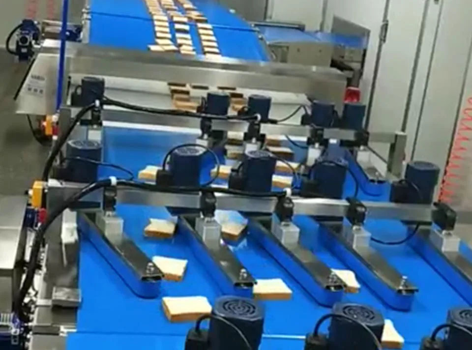 Automatic Toast Processing and Packaging System