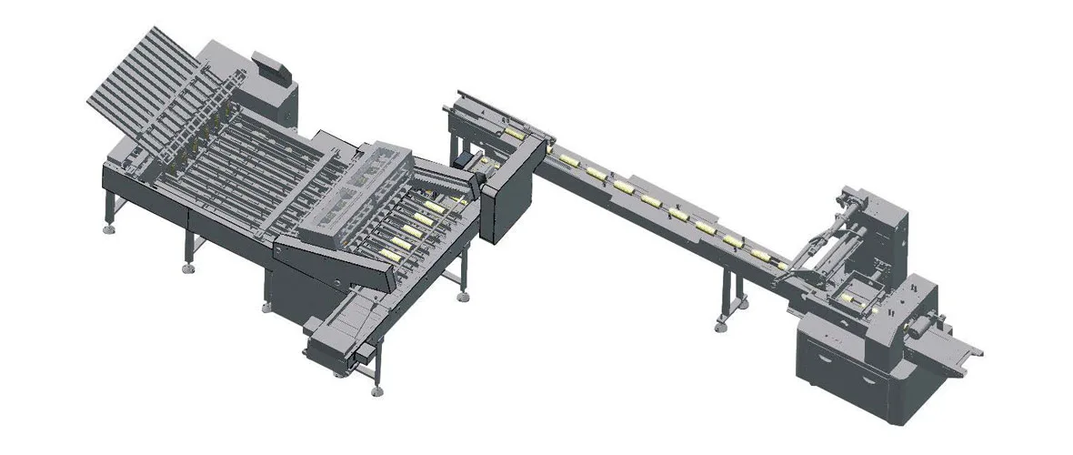 Wafer Packaging Line